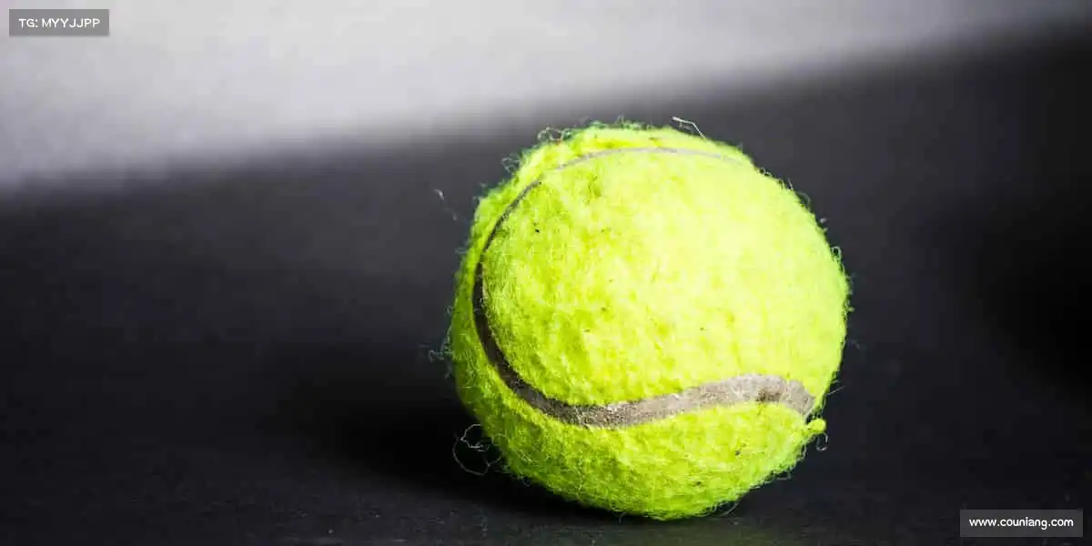 mk体育sport地址🤼♂️挑战极限,每一刻都是新起点!